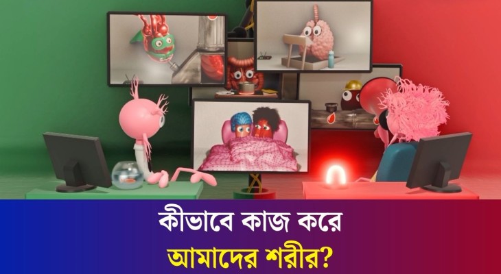 মানবদেহ একসাথে অনেক কাজ কীভাবে করে?